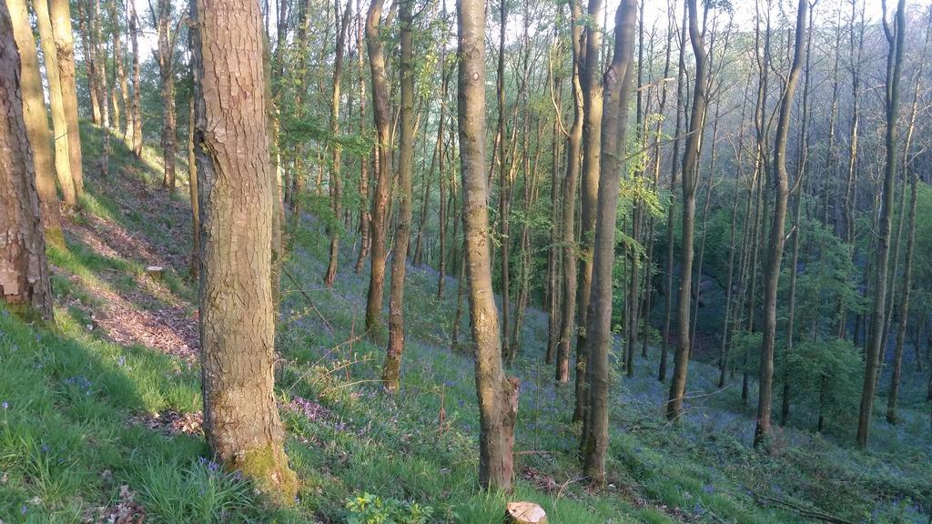 Low Nook Farm Holiday Cottage 布兰普顿 外观 照片