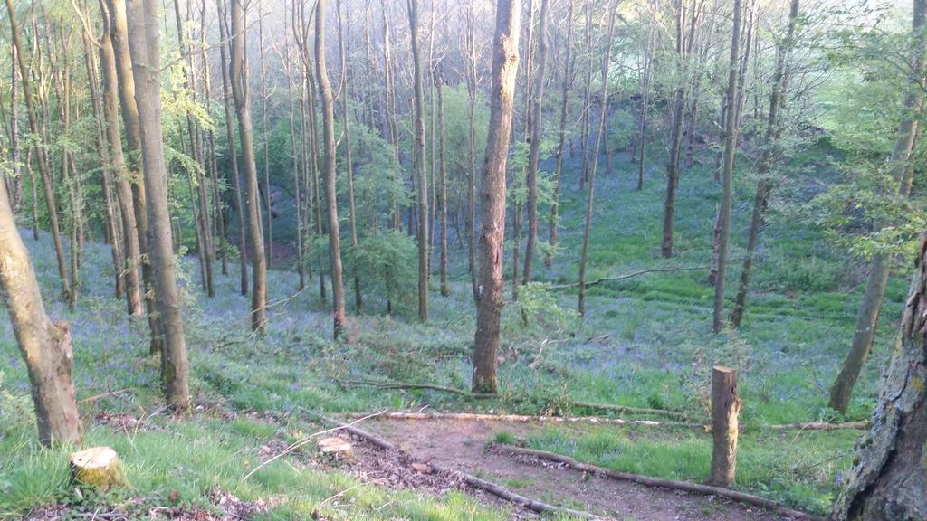 Low Nook Farm Holiday Cottage 布兰普顿 外观 照片
